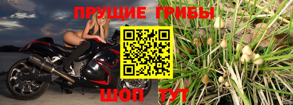 Галлюциногенные грибы Psilocybine cubensis  Псилоцибиновые грибы мухоморы  Вход с VPN  Советск 