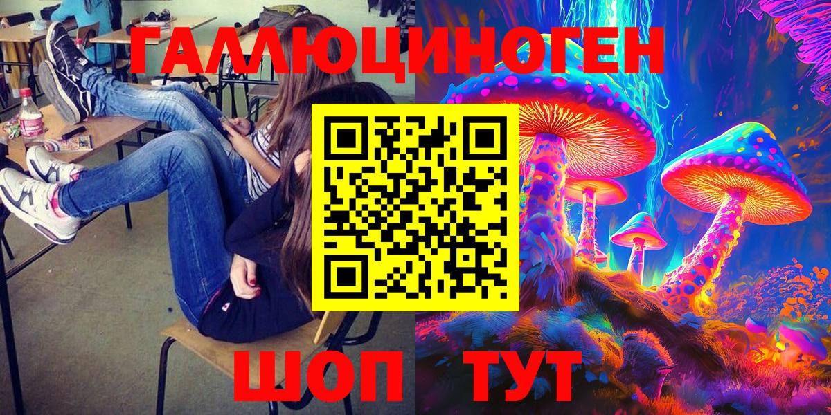 Псилоцибиновые грибы Psilocybine cubensis Советск